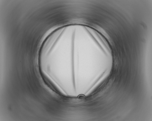 X0000113321339200910131120