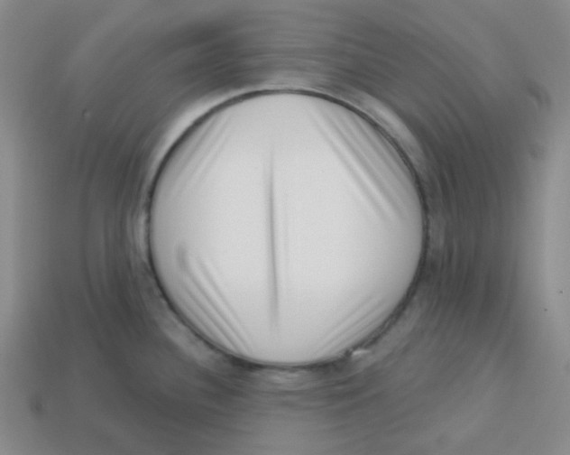 X0000113321340200910131120