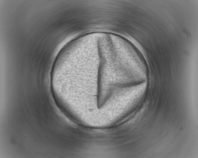 X0000113321341200910131120