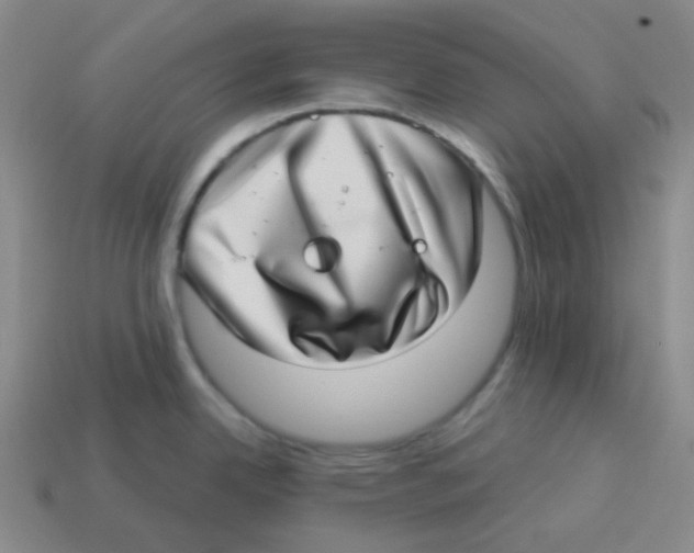 X0000113321342200910131120