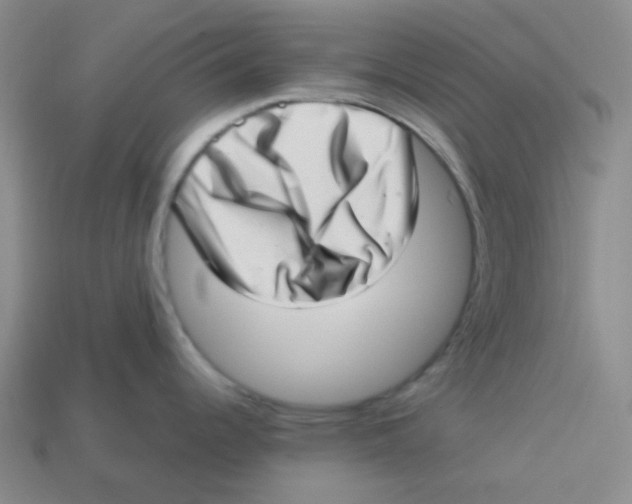 X0000113321344200910131120