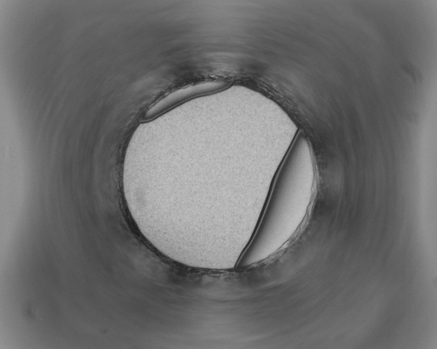 X0000113321345200910131120