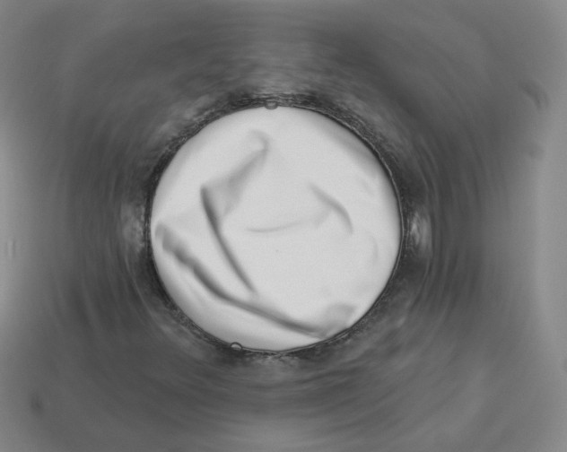 X0000113321348200910131120