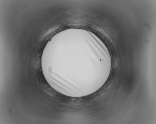 X0000113321350200910131120