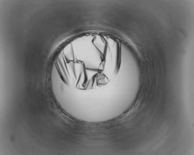 X0000113321352200910131119