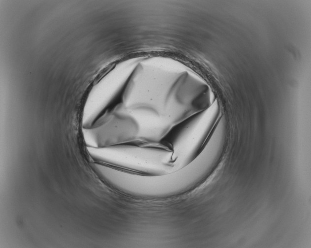 X0000113321353200910131119