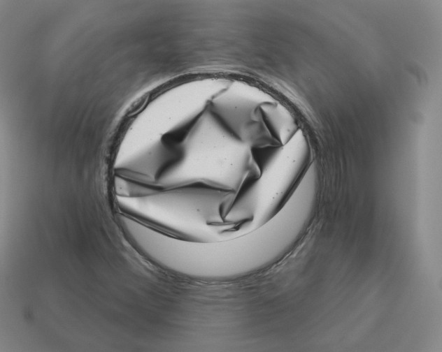 X0000113321356200910131119