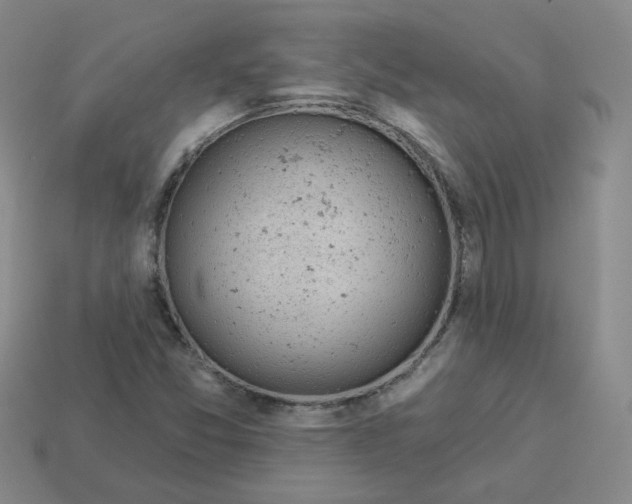 X0000113321357200910131119