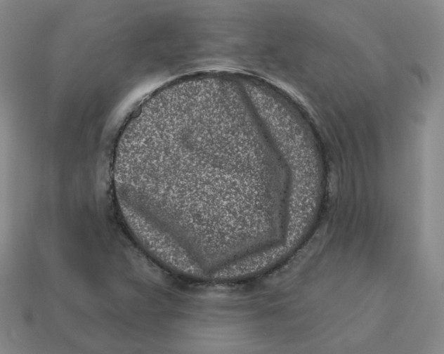 X0000113321359200910131119