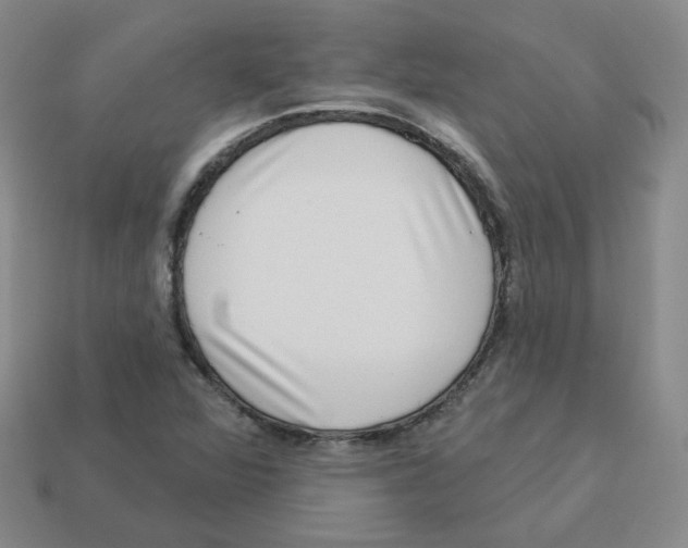 X0000113321360200910131119