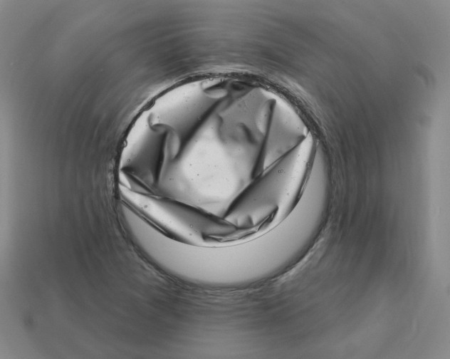 X0000113321361200910131119