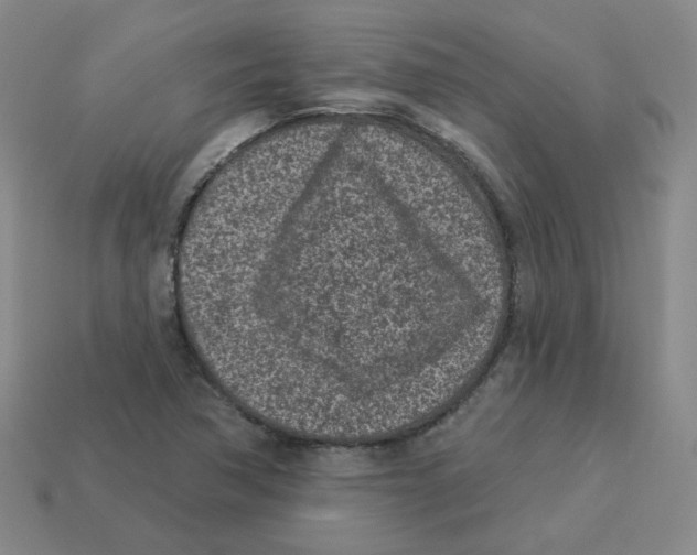 X0000113321362200910131119