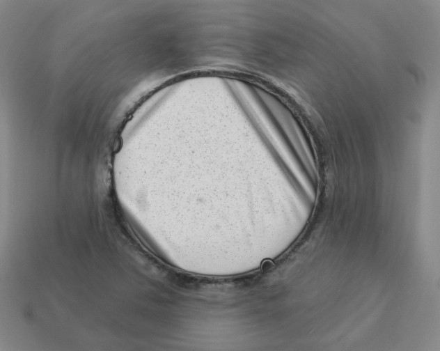 X0000113321363200910131119