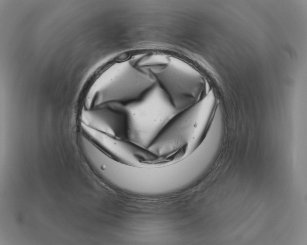 X0000113321364200910131119