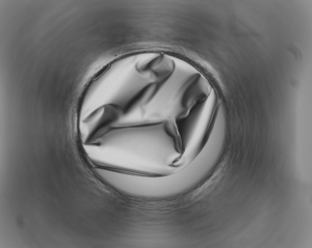 X0000113321365200910131119