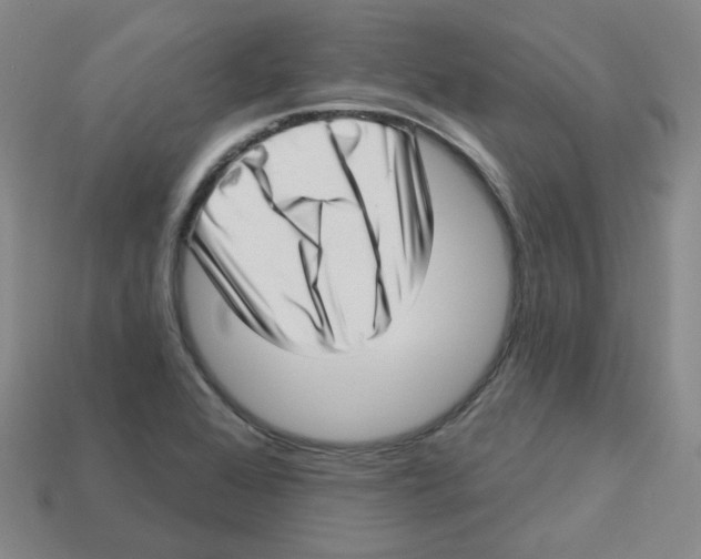 X0000113321368200910131119