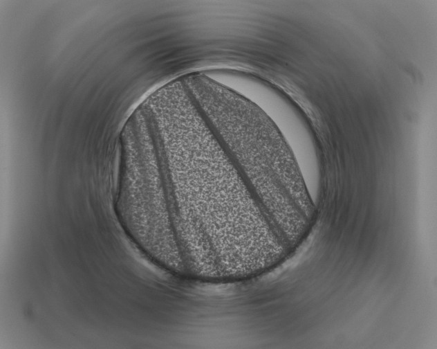 X0000113321369200910131119