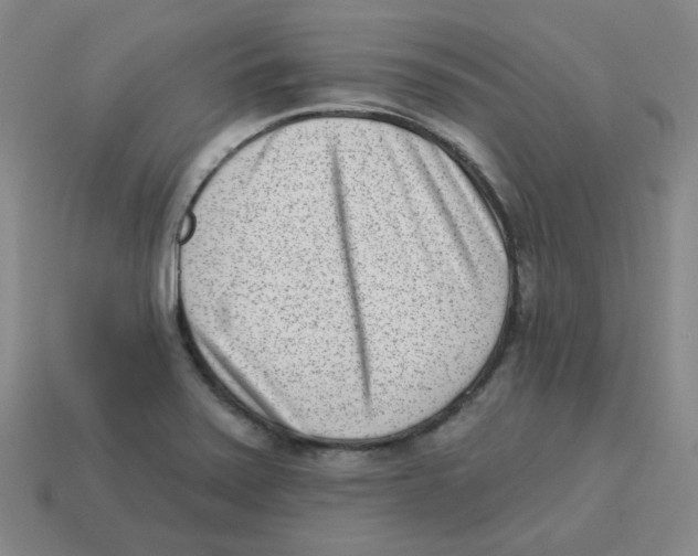 X0000113321371200910131119