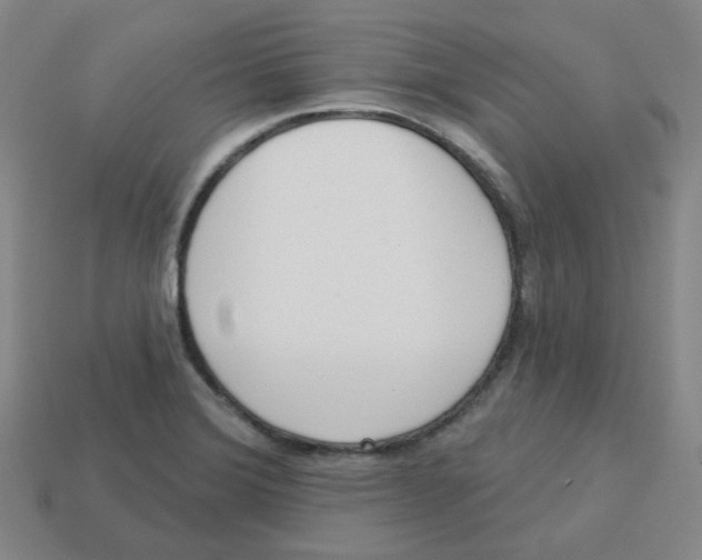 X0000113321372200910131119