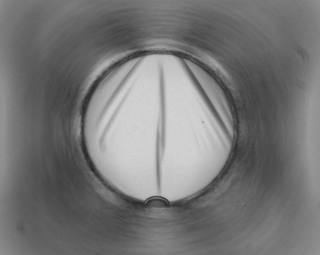 X0000113321376200910131119