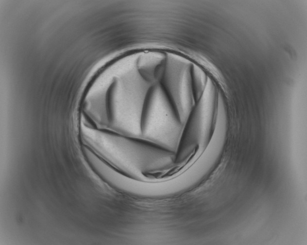 X0000113321380200910131119