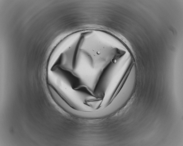 X0000113321381200910131119