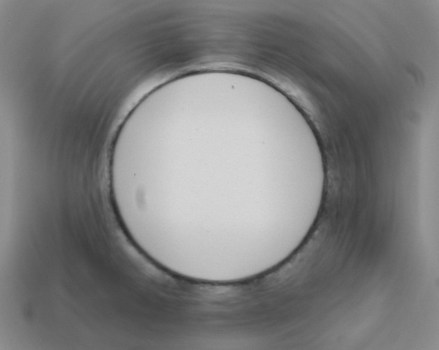 X0000113321382200910131119