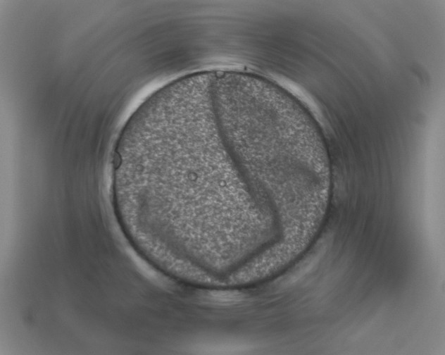 X0000113321383200910131119