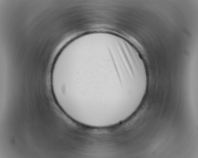 X0000113321384200910131119