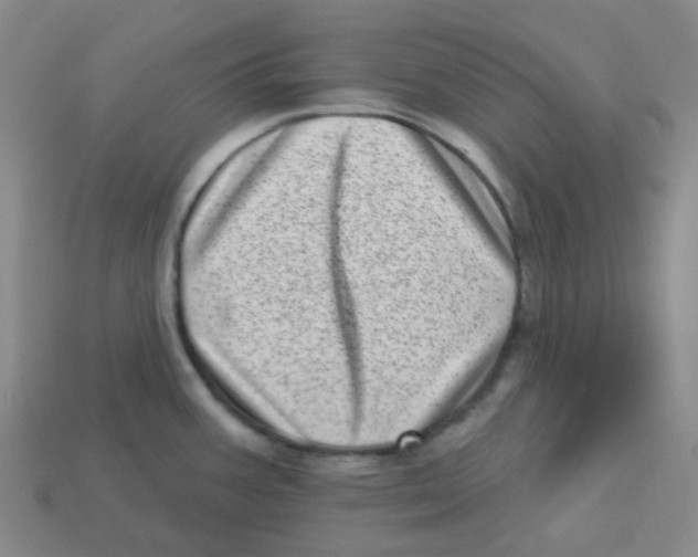 X0000113321387200910131119