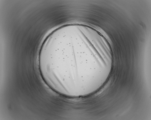 X0000113321388200910131119