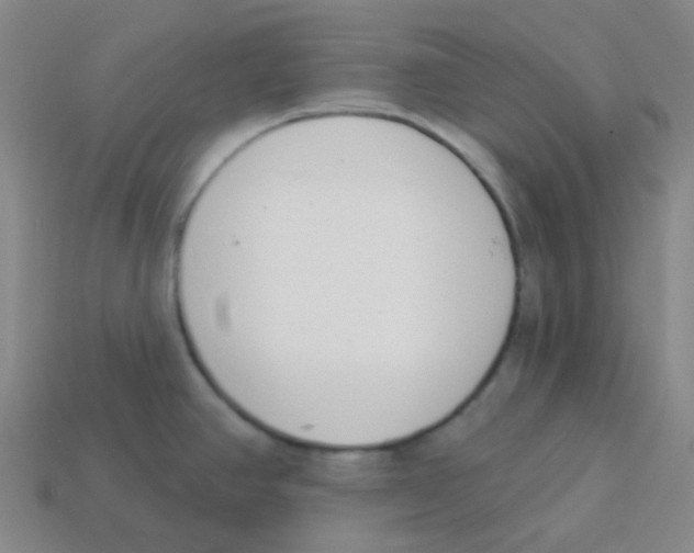 X0000113321390200910131119