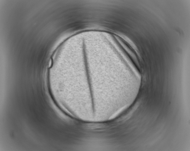 X0000113321391200910131119