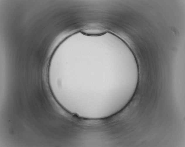 X0000113321392200910131119