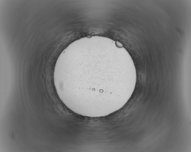 X0000113321393200910131118