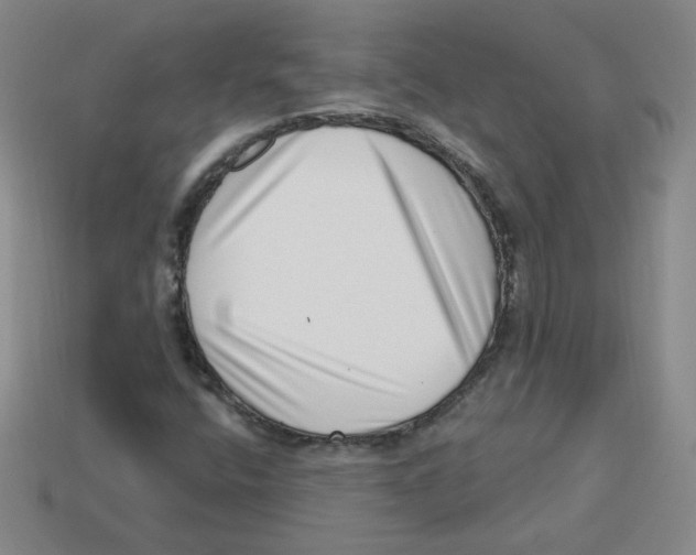 X0000113321400200910131118