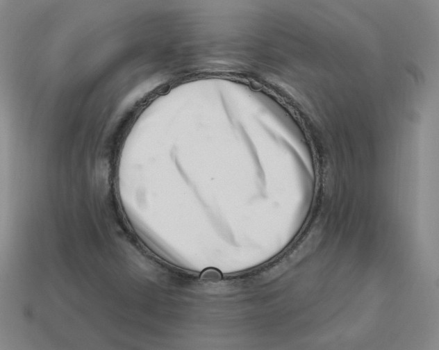 X0000113321402200910131118