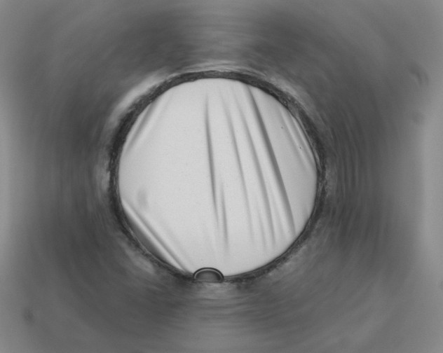 X0000113321406200910131119