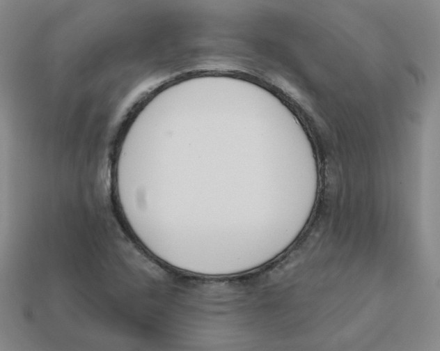 X0000113321408200910131119