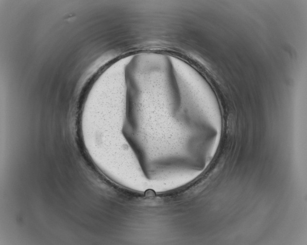 X0000113321410200910131119