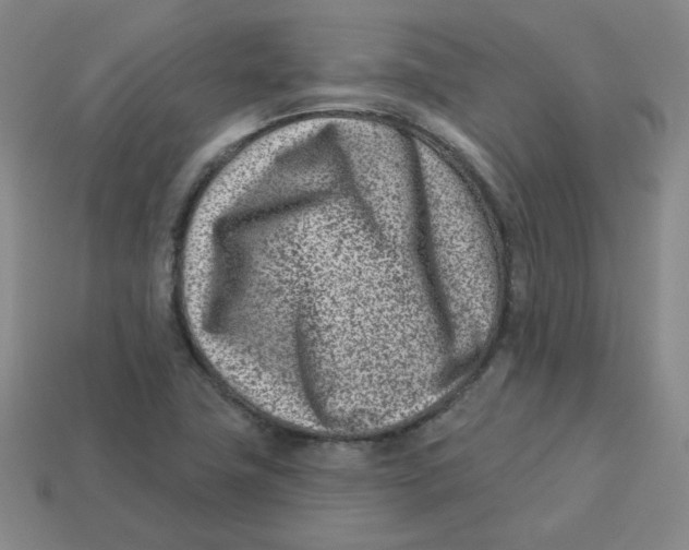 X0000113321411200910131119