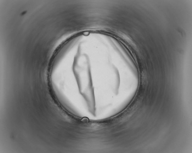 X0000113321412200910131119