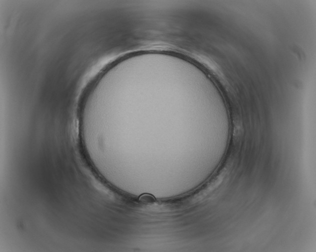 X0000113321414200910131119