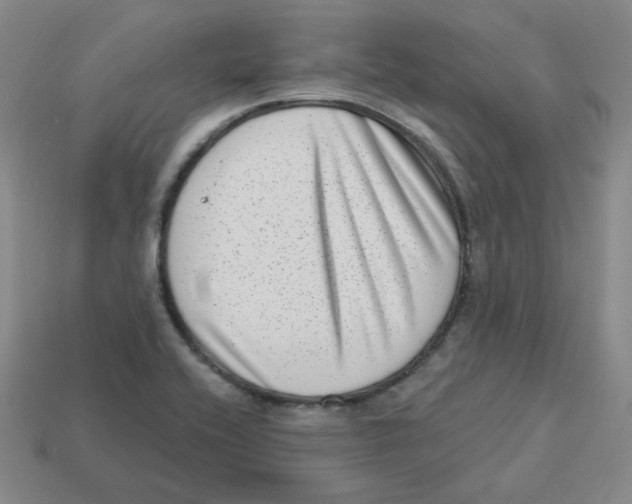 X0000113321416200910131119