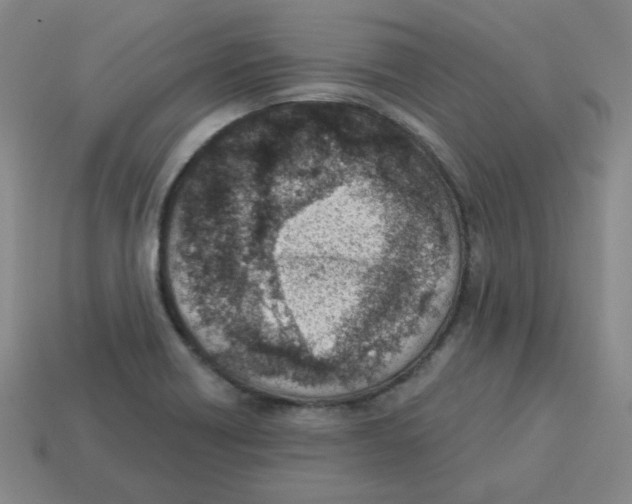 X0000113321418200910131119