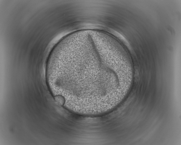 X0000113321419200910131119