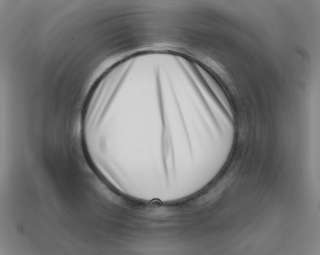 X0000113321420200910131119