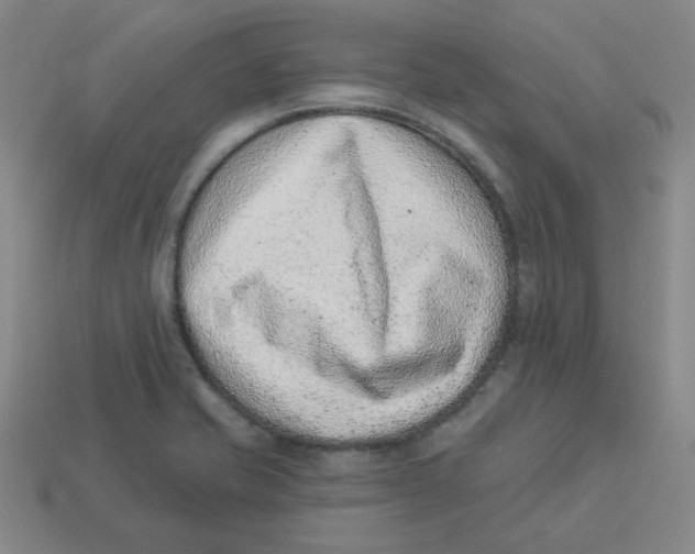 X0000113321421200910131119