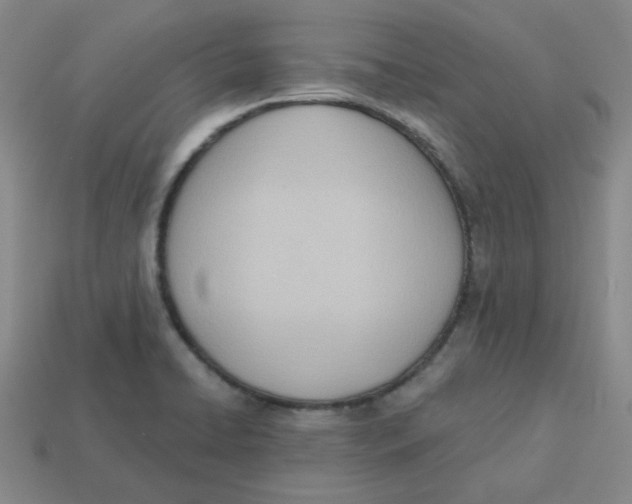 X0000113321422200910131119