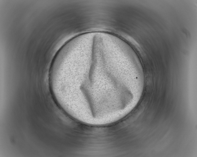 X0000113321423200910131119